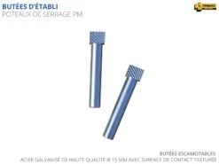 ÉTABLIS FRANÇOIS - PM Paire De Poteaux De Serrage Petit Modèle ø15 Mm - Acier Galvanisé
